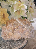 seashell bag